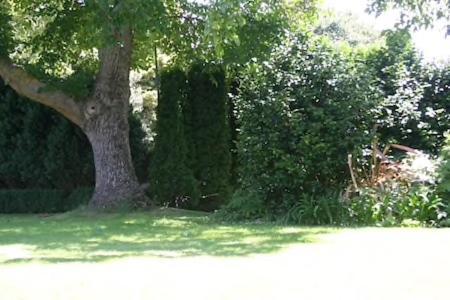 Walnut Grove * Christchurch