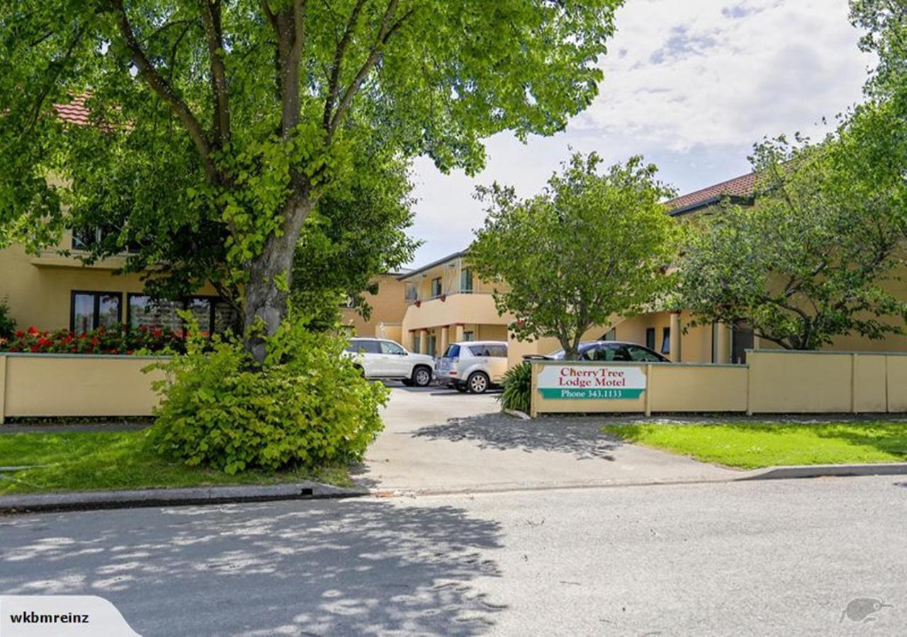 Motel Cherry Tree