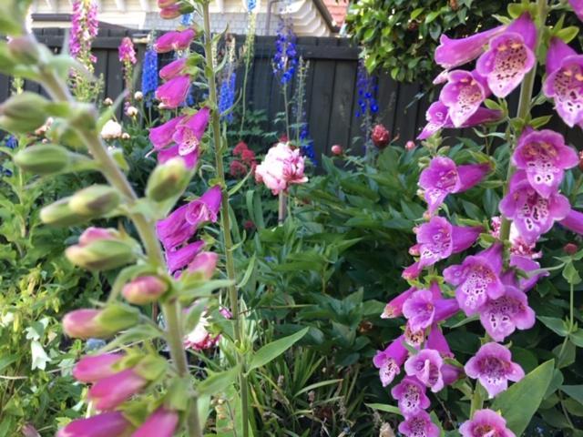 Garden Bed & Breakfast Christchurch