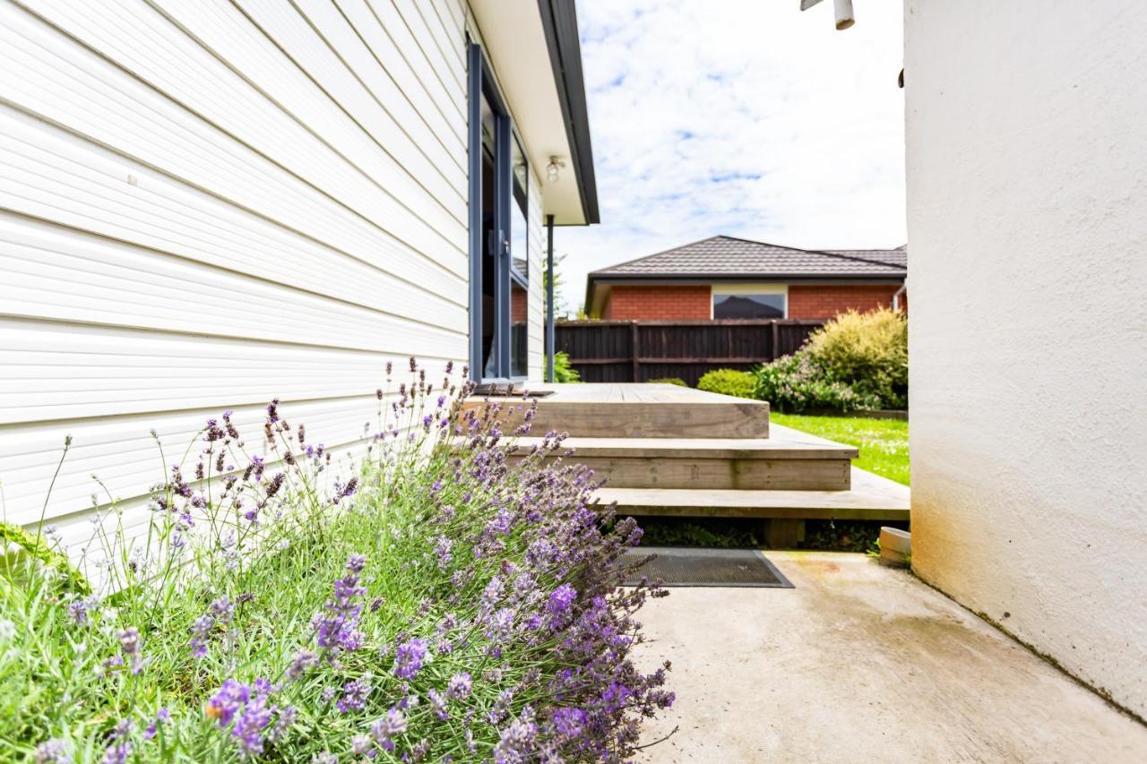 Comfy - Homes Christchurch