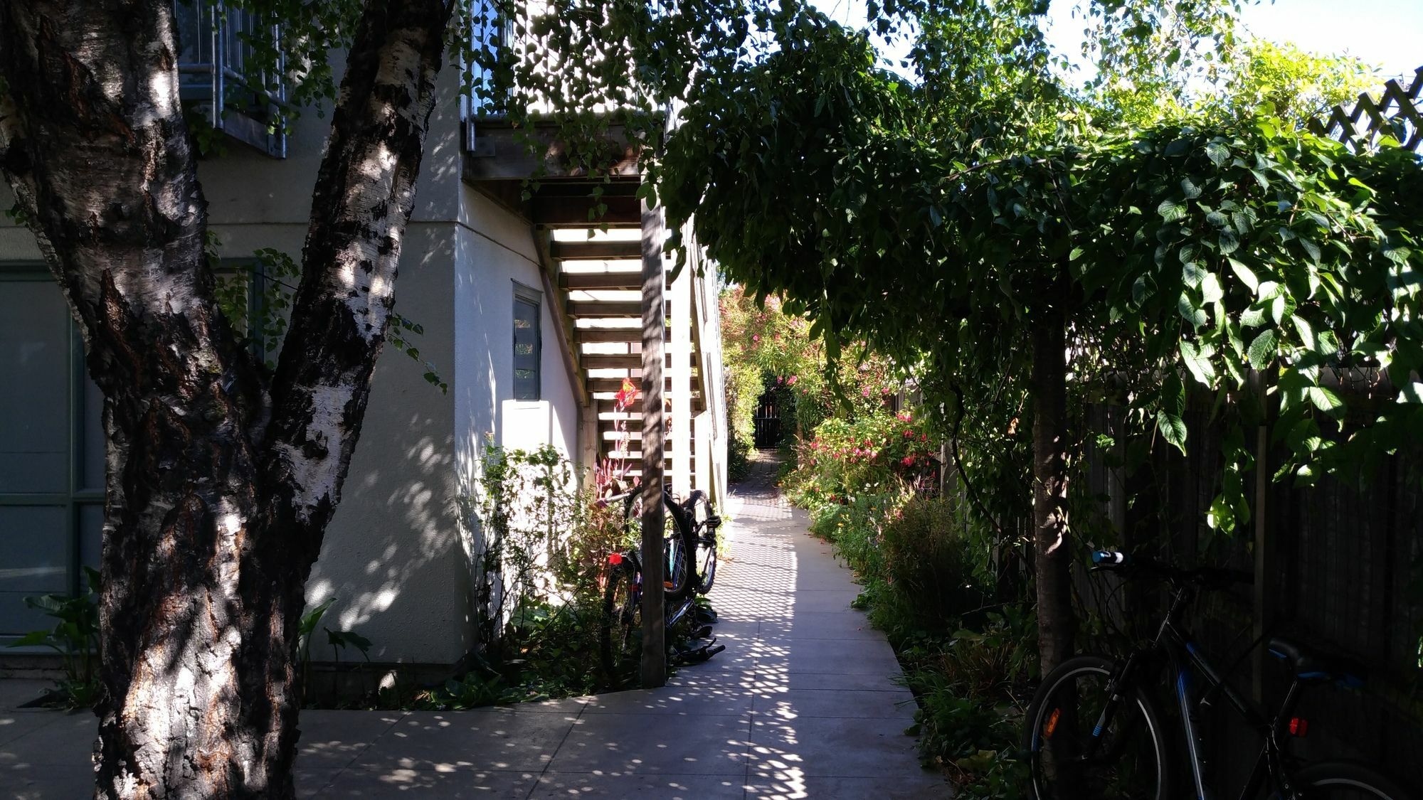 Kiwi House Albergue Christchurch