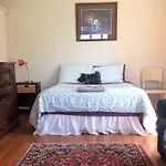 Te Pohue Farm Stay Trails