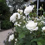 Finlay Banks Boutique Bed & Breakfast