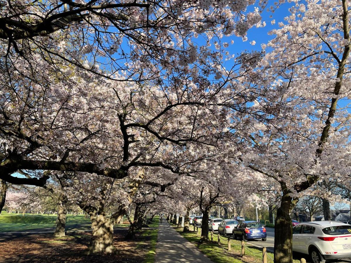 Park Motor 4* Christchurch