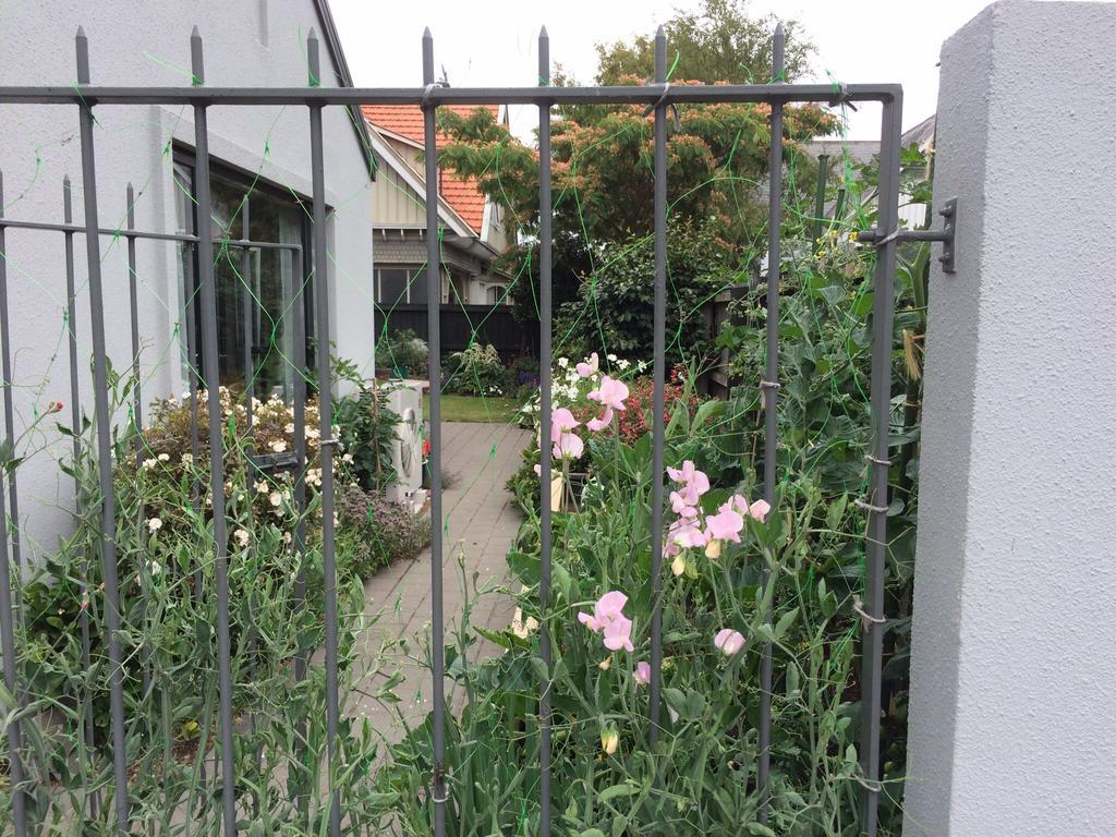 Garden 3*