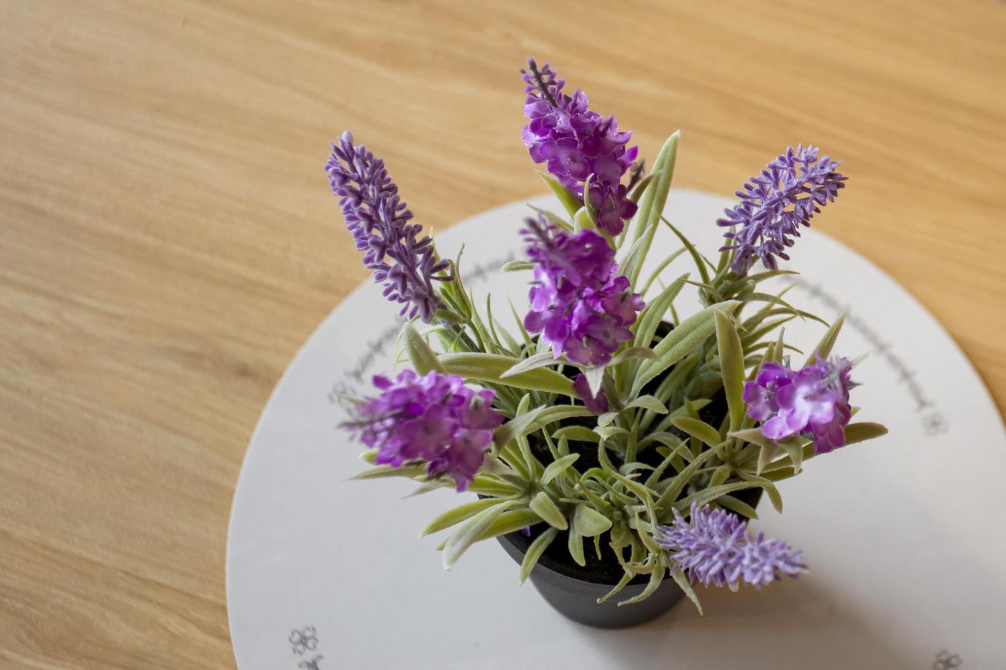 Spring Special Cbd Free Parking Apartment *