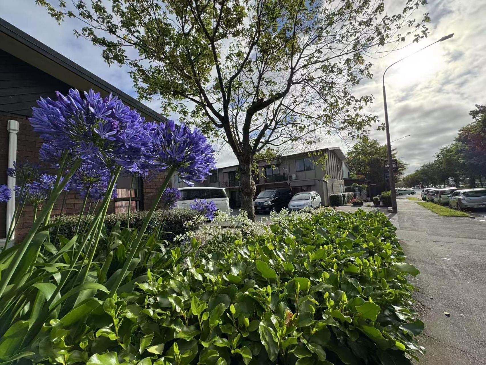 Motel Abbey Motor Christchurch