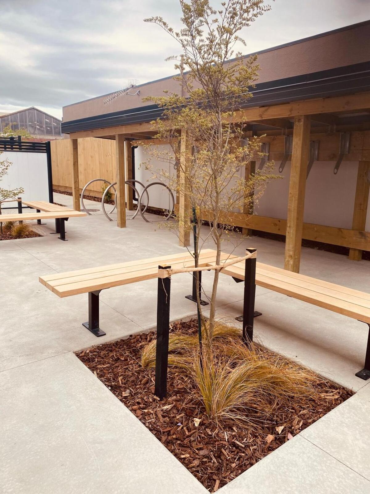 Urban Retreat In Christchurch