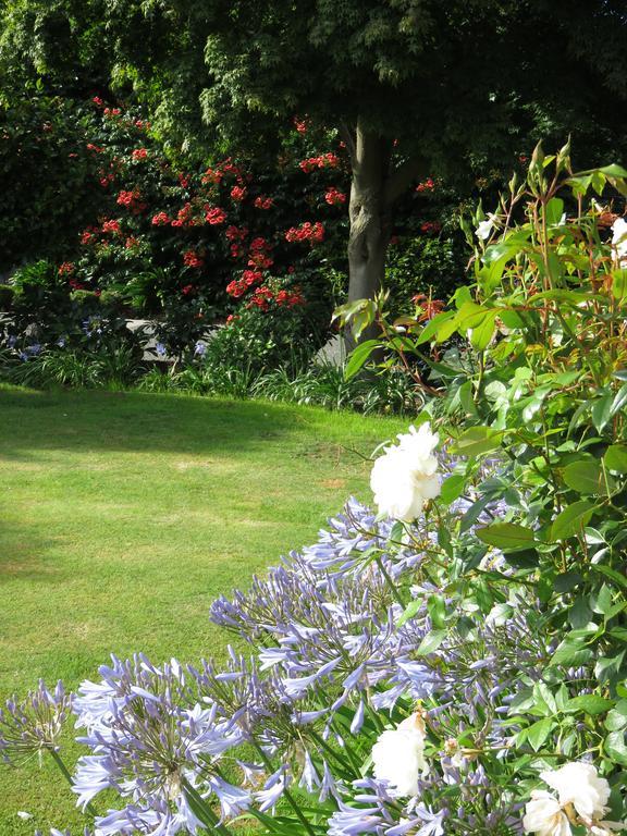 Bed & Breakfast Maples On Harewood