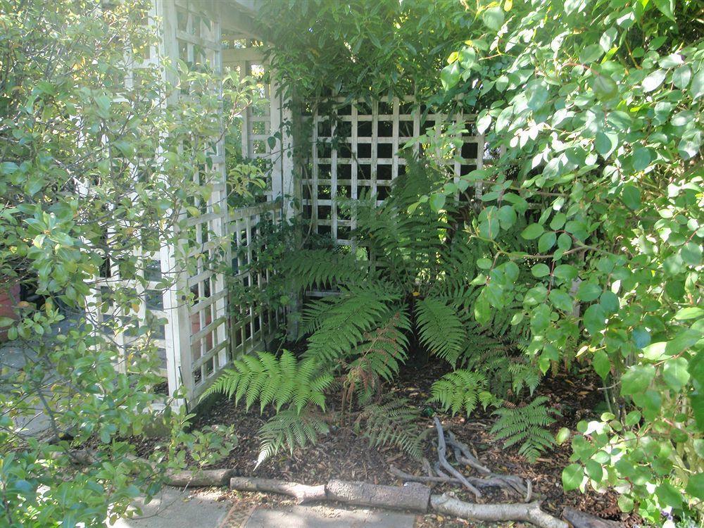 Purple-der House Guest house Christchurch