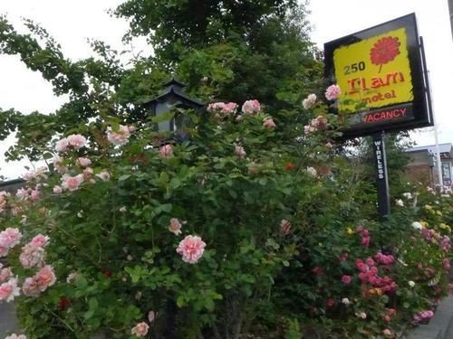 Ilam Motel Christchurch