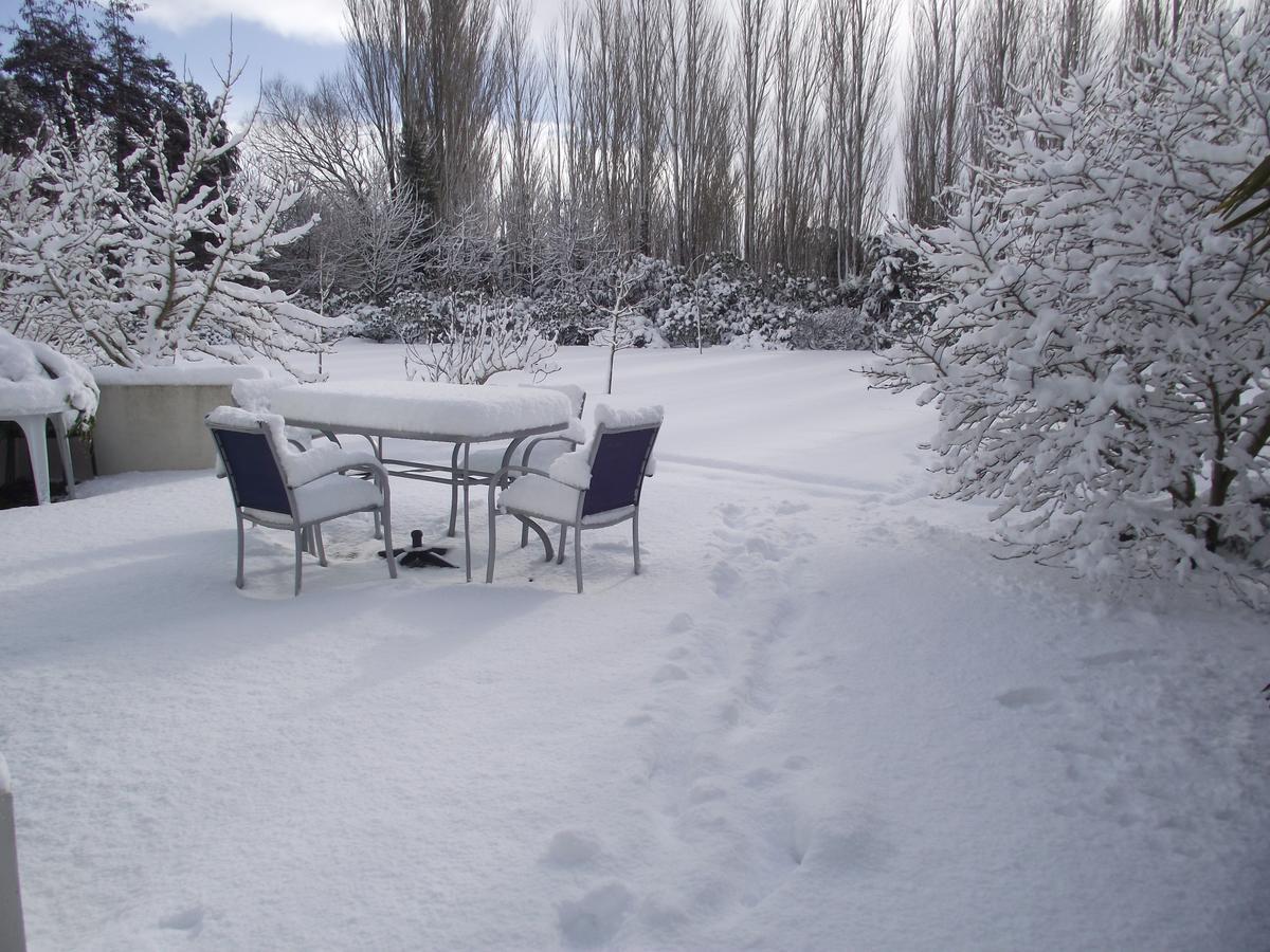 Shamrock Garden Airport Bed & Breakfast 4*
