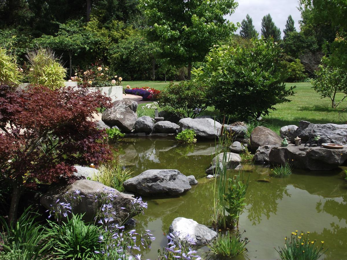 Bed & Breakfast Shamrock Garden Airport 4*