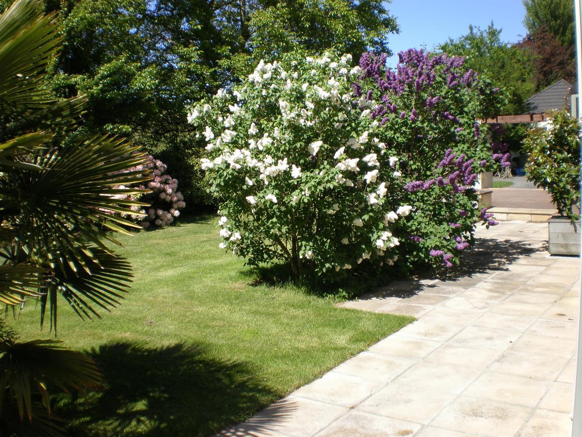 Shamrock Garden Airport Bed & Breakfast