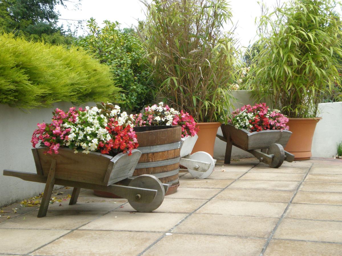 Shamrock Garden Airport Bed & Breakfast Christchurch