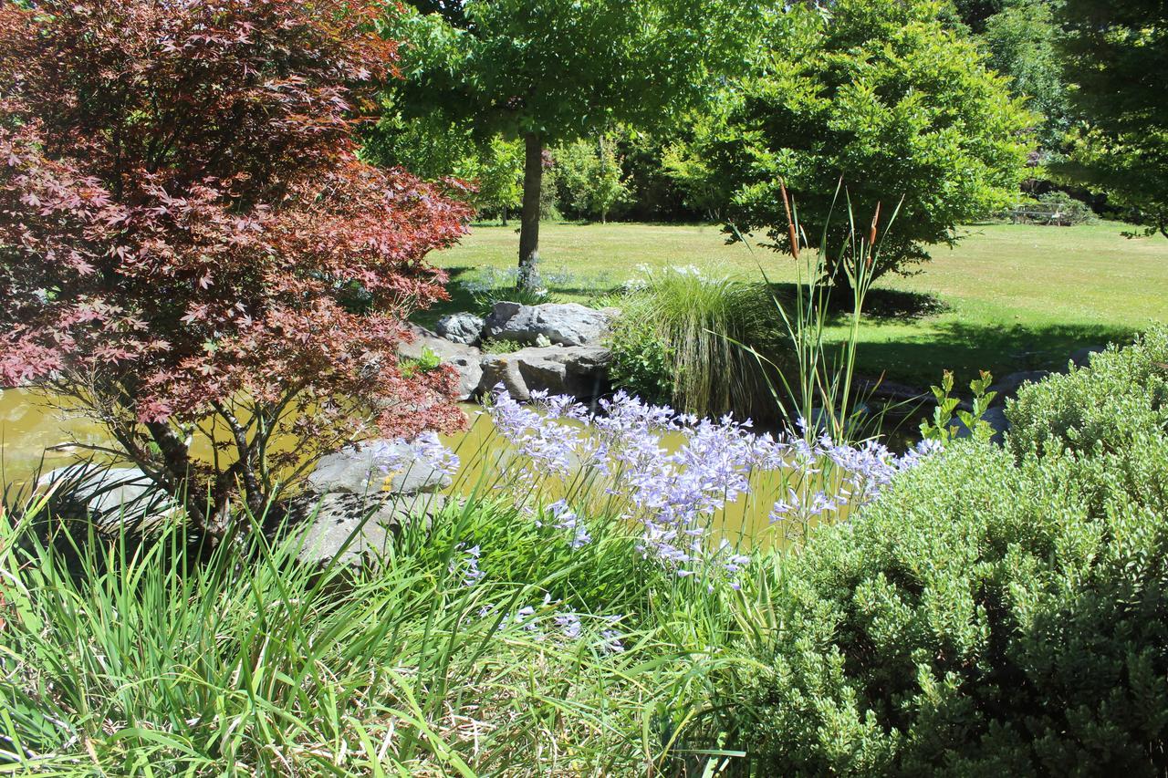 Shamrock Garden Airport Bed & Breakfast