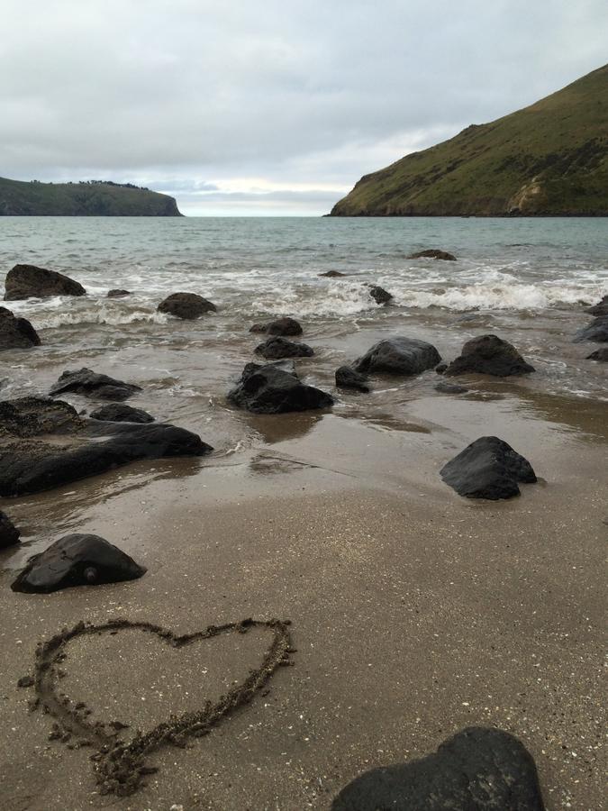 Farm stay Te Pohue Farm Trails
