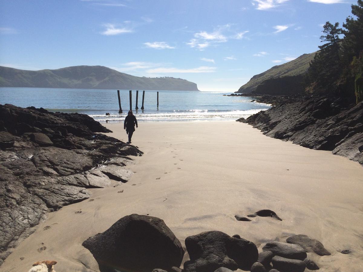 Te Pohue Farm Trails * Christchurch