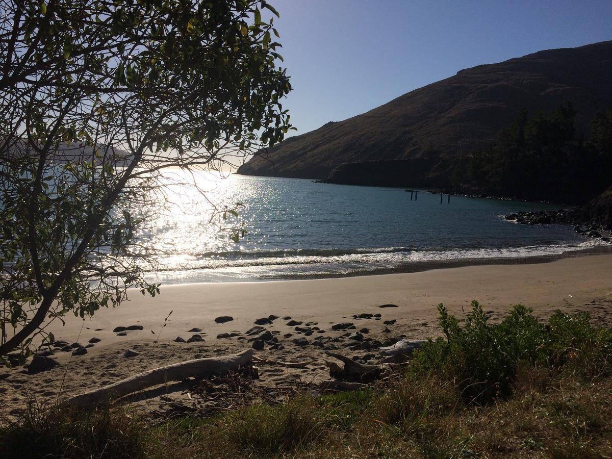 Te Pohue Farm Trails * Christchurch