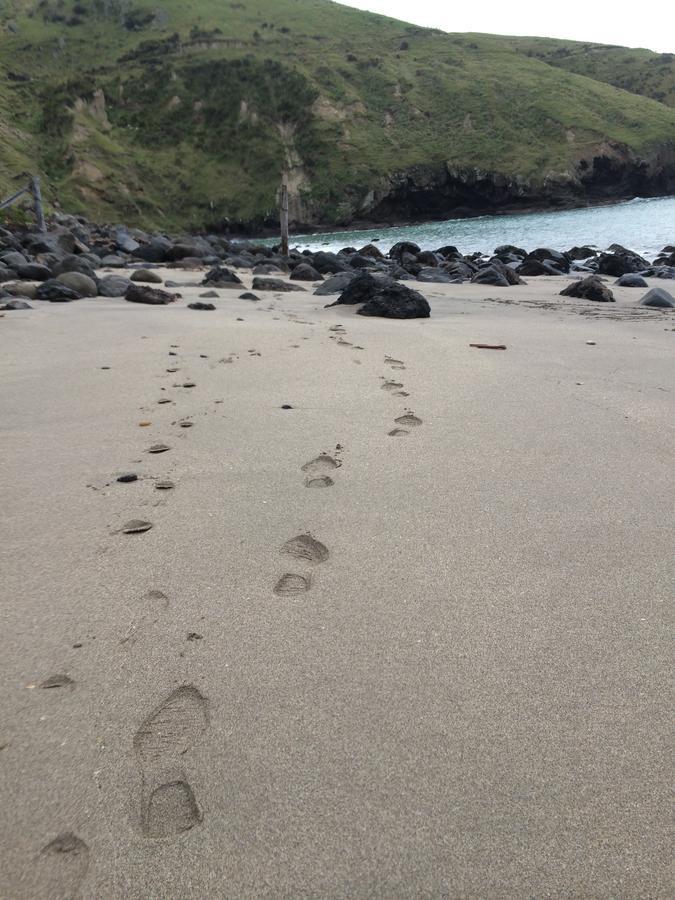 Te Pohue Farm Trails Farm stay
