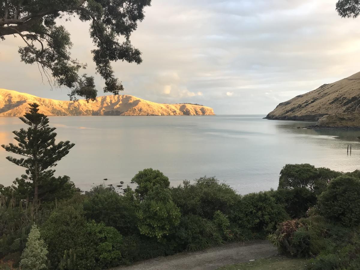 Te Pohue Farm Trails Farm stay Christchurch