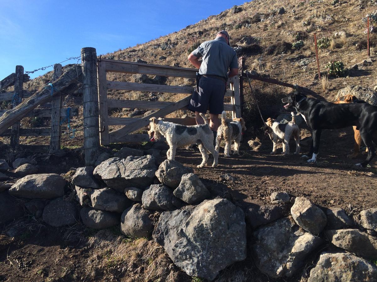 Te Pohue Farm Trails
