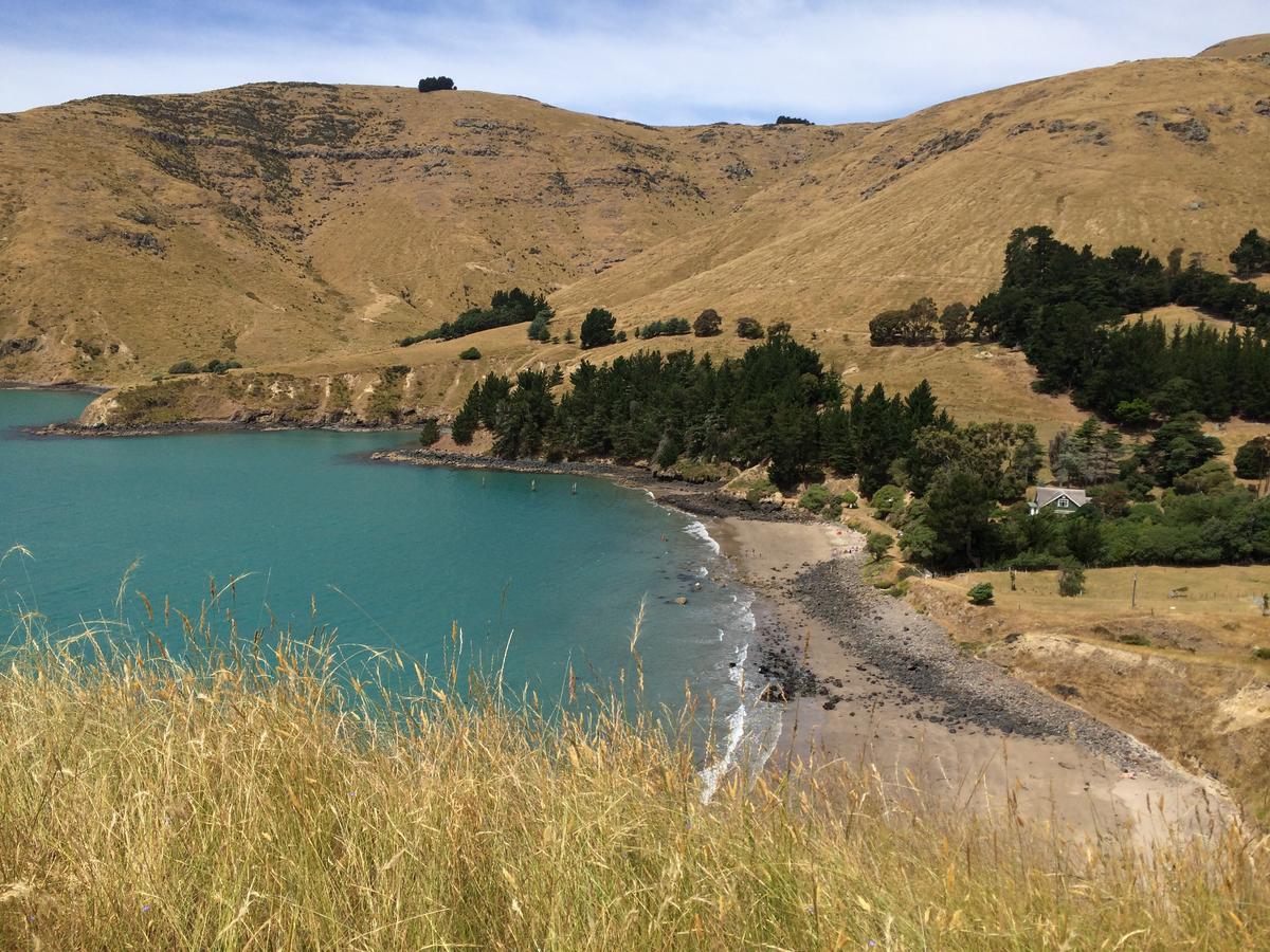 Farm stay Te Pohue Farm Trails *