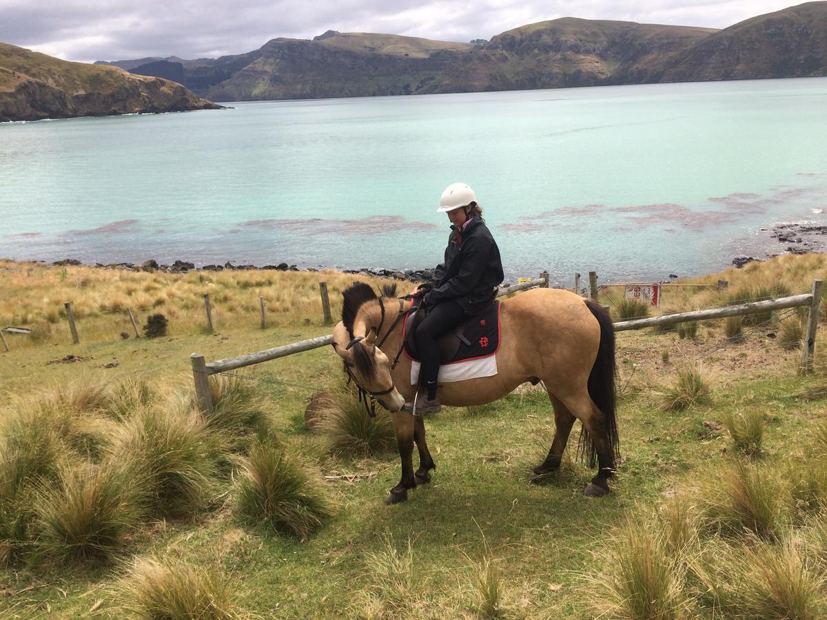 Te Pohue Farm Trails Christchurch