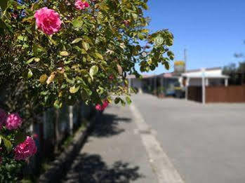 Hotel Racecourse Backpackers 2*