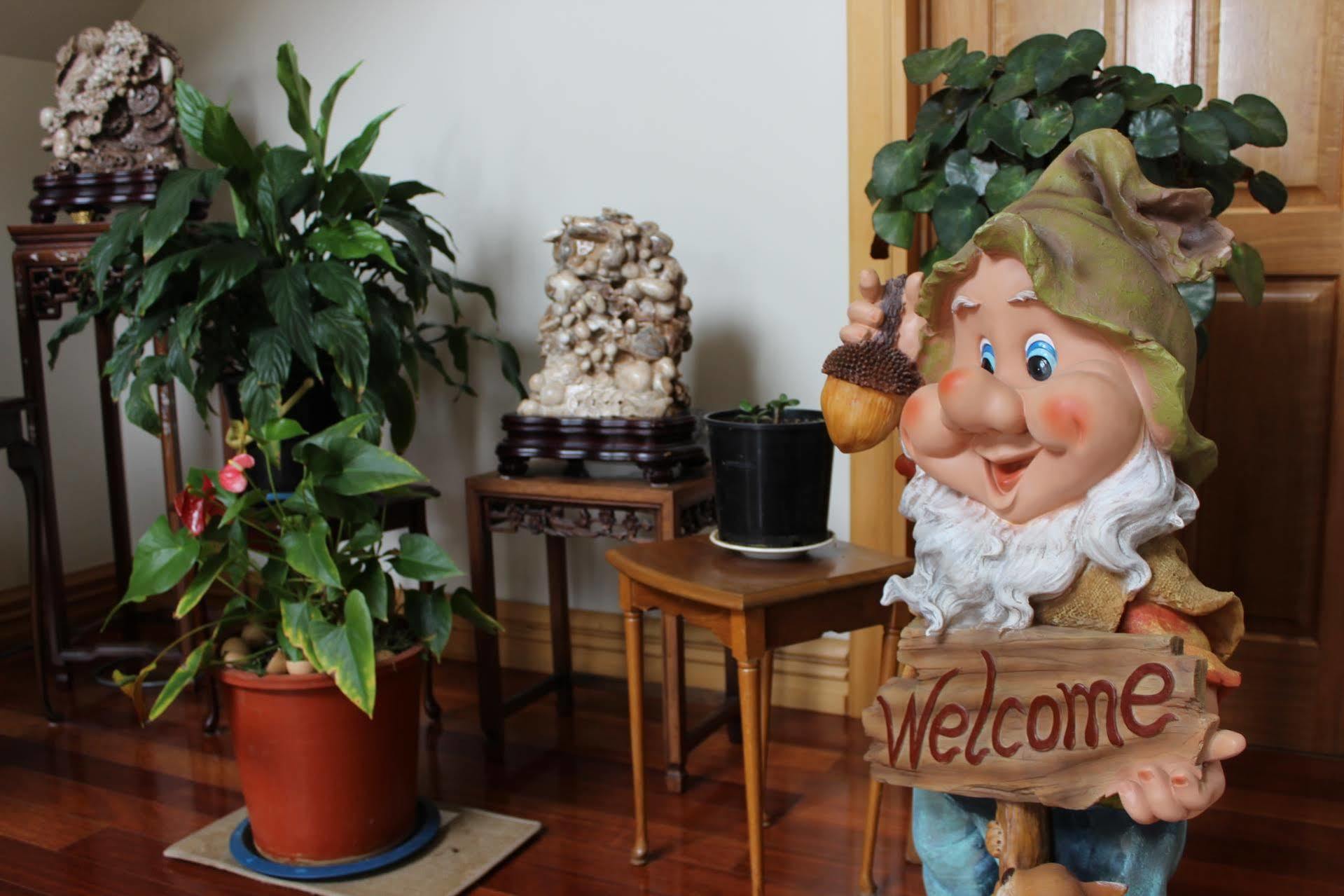 Shamrock Garden Airport