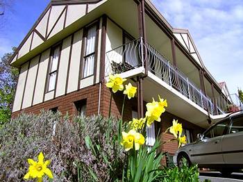 Motel Argyle On The Park 3*