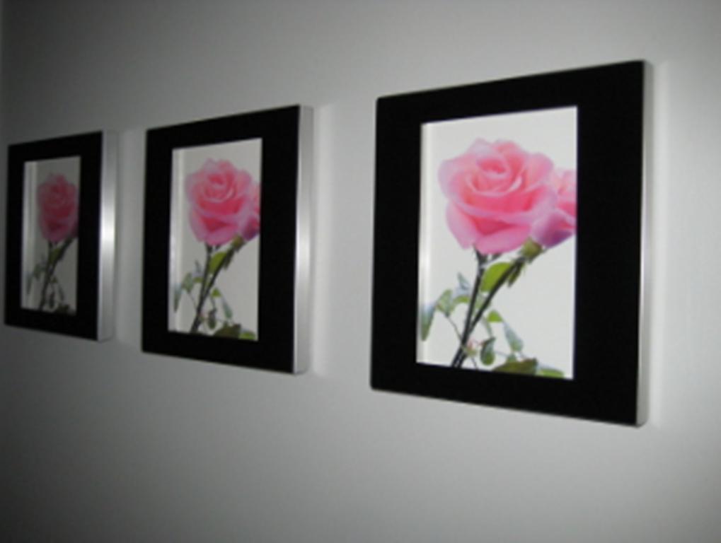 Bed & Breakfast Finlay Banks Boutique Christchurch
