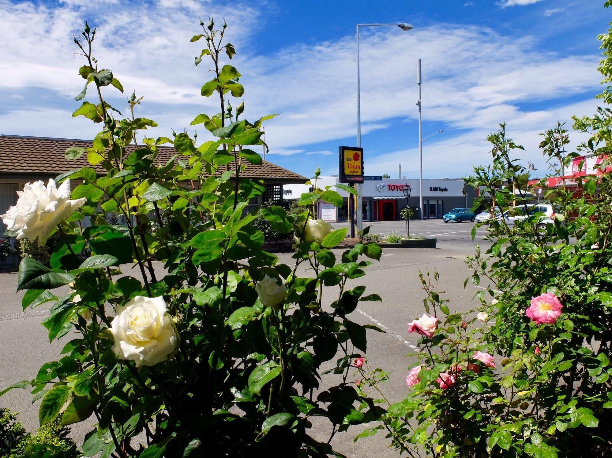 Motel Ilam