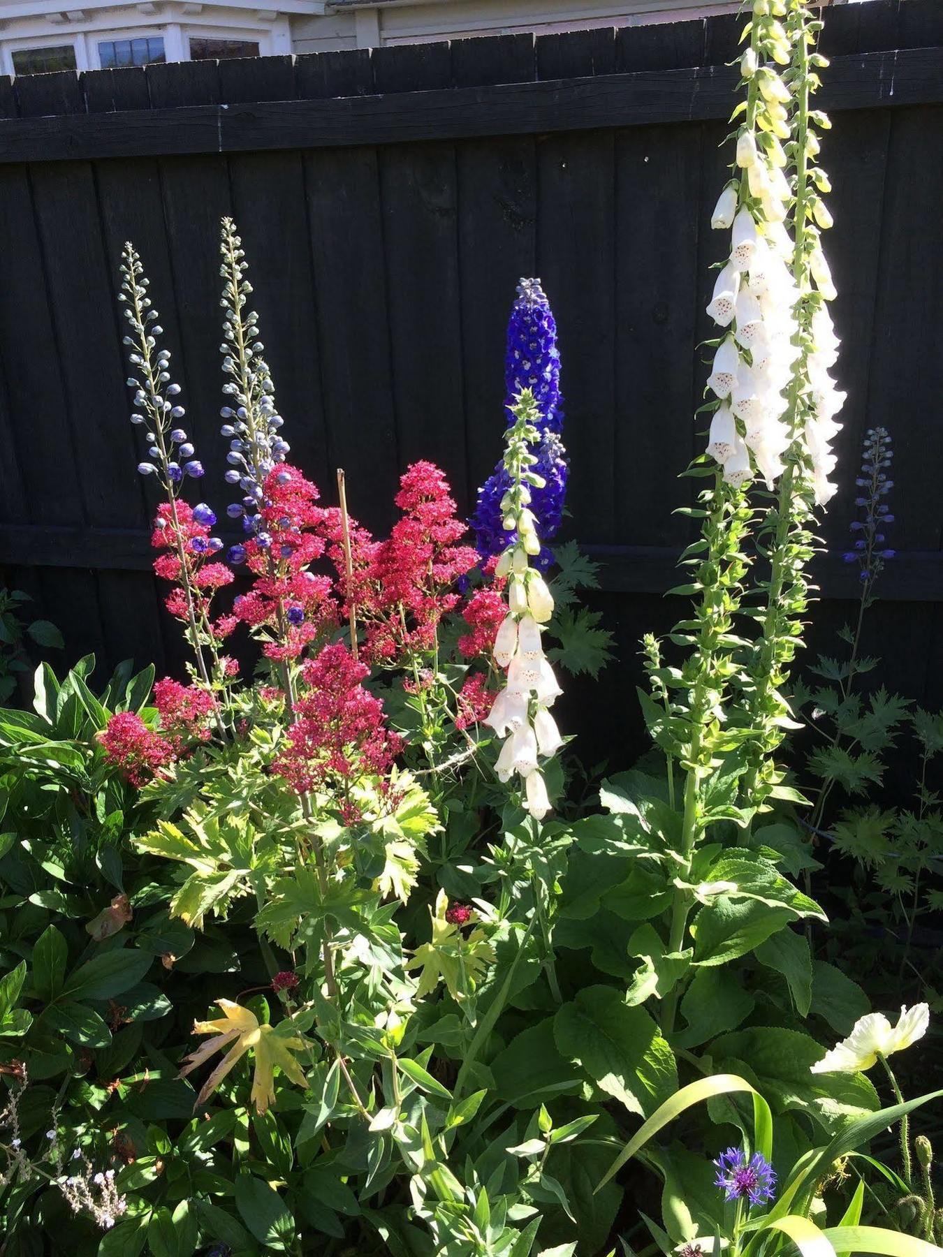 Garden Christchurch