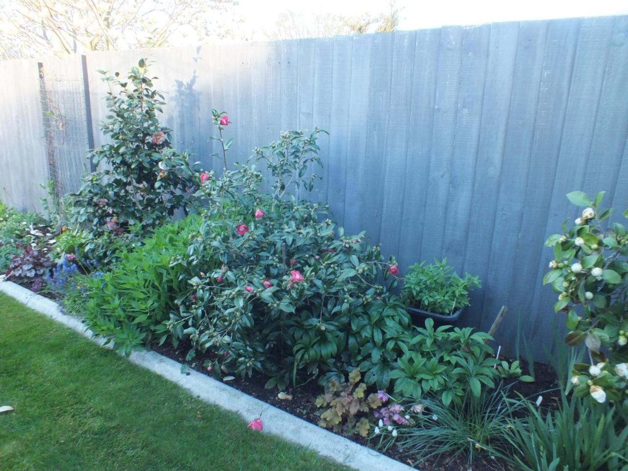 Perfect Home, Stunning Gardens - Aidanfield Gardens Bellissimo Holiday home Christchurch