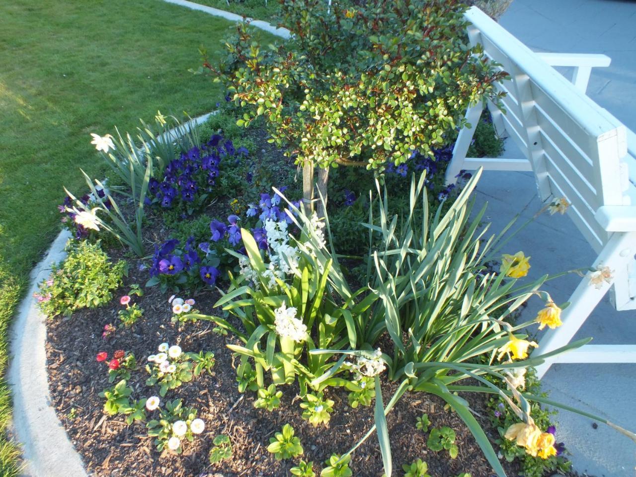 Holiday home Perfect Home, Stunning Gardens - Aidanfield Gardens Bellissimo Christchurch