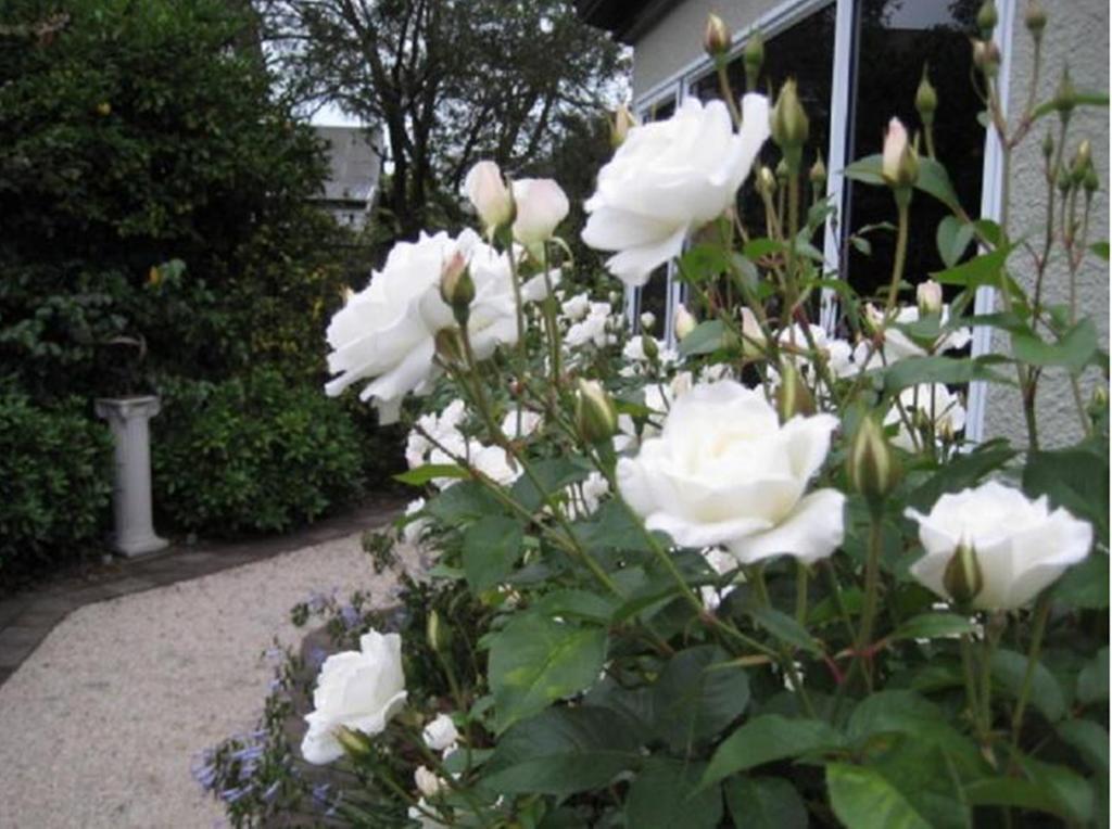 Finlay Banks Boutique Bed & Breakfast