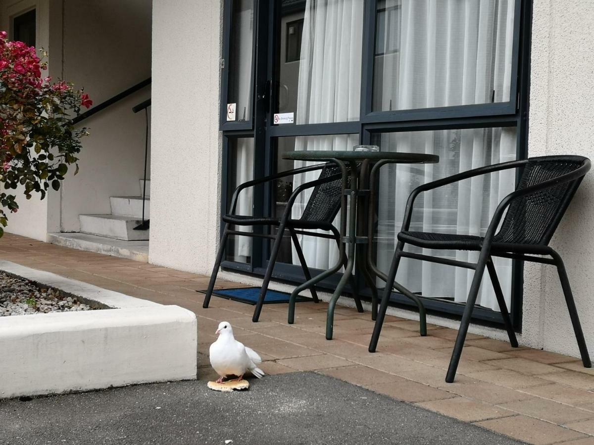 Annabelle Court Motel 4*