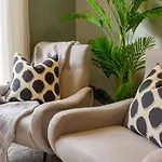 Luxury Escape For 2, Single Level Studio, Papanui