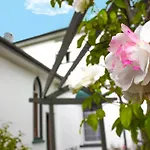 The Pier Lodge Bed And Breakfast