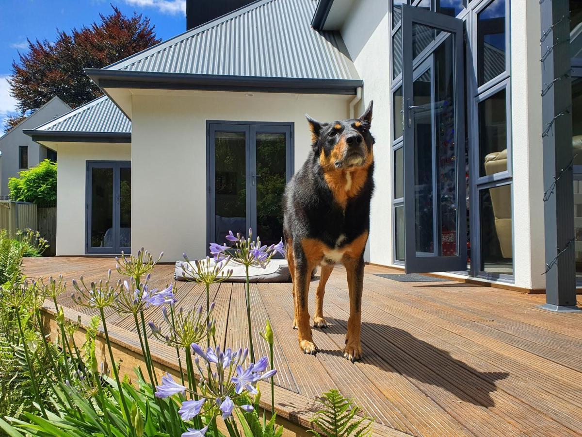 Airport House Homestay Christchurch