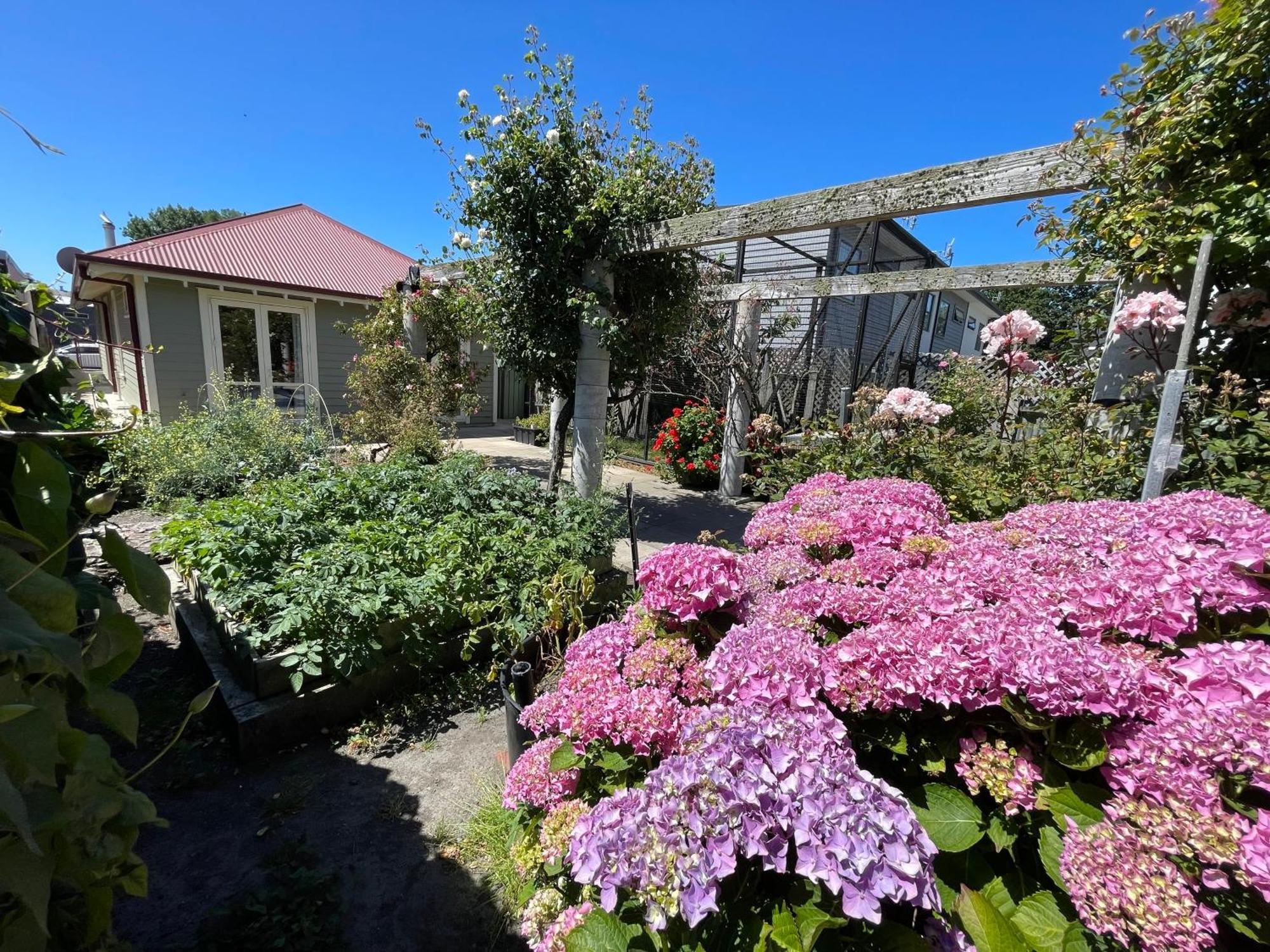 Quiet And New Cnzhouse With Yard Near River In Cbd Guest house *