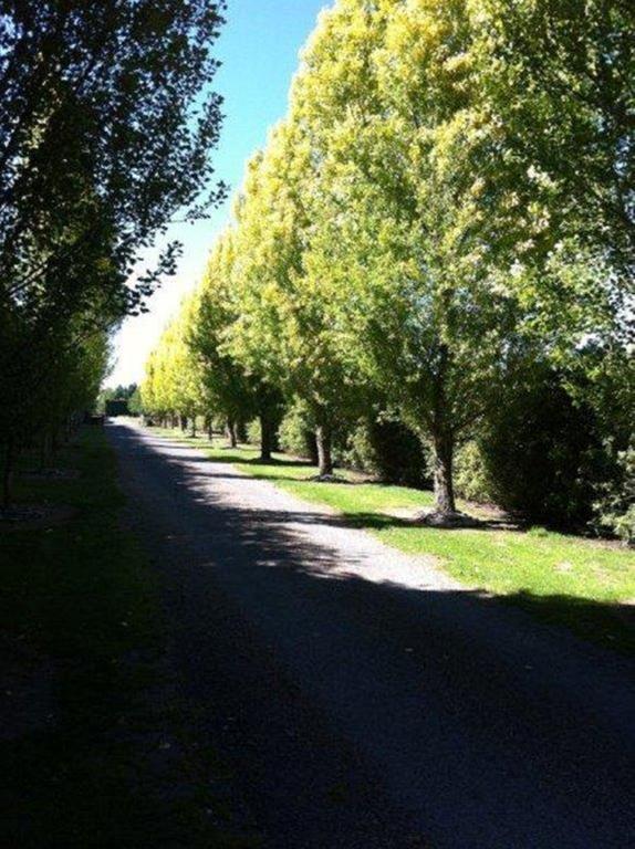 The Meadows Christchurch
