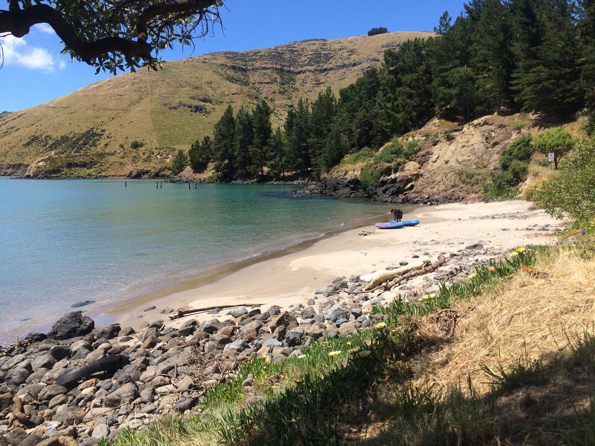 Te Pohue Farm Trails Christchurch
