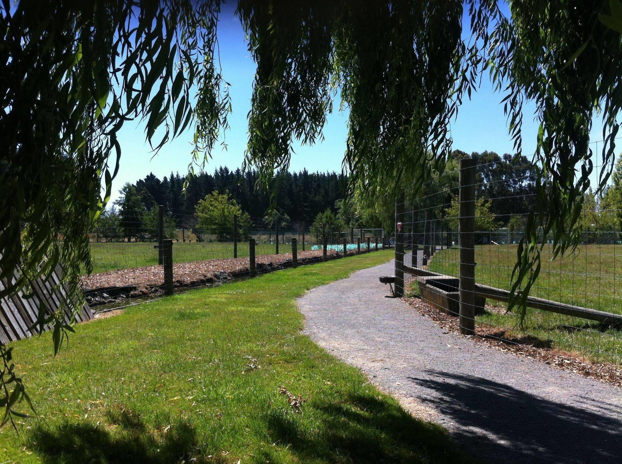 The Meadows * Christchurch